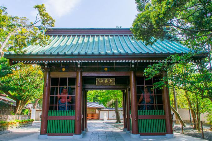 鎌倉大仏」の鎮座する寺!「高徳院」の見どころはここだ! | 神奈川県 | トラベルjp 旅行ガイド