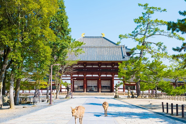 最新】奈良県民に聞いた!奈良県内で住みやすい街(駅&自治体)ランキング【アットホーム タウンライブラリー】