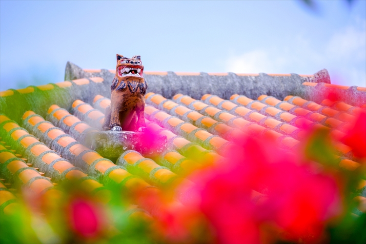 新婚旅行は沖縄へ!予算・日数別のオススメのプラン&観光スポット | 花嫁ノート