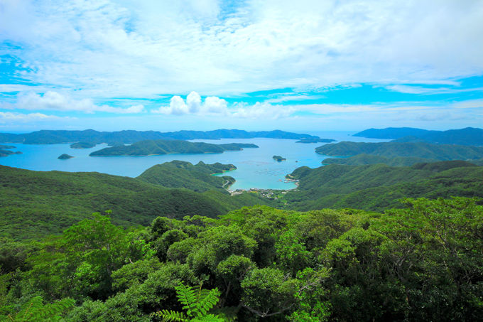 奄美大島は何日間あれば楽しめる？おすすめ泊数を紹介 | 鹿児島県 | トラベルjp 旅行ガイド