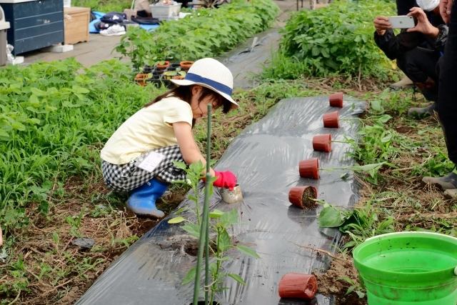 農林漁業体験の予約【日本旅行】オプショナルツアー・アクティビティ・遊びの体験予約
