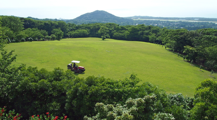 椿花ガーデン村長 山下隆さん|島人Focus|伊豆大島ナビ