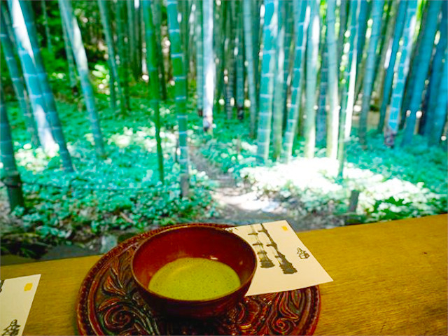 鎌倉観光】穴場やおしゃれスポット、大河ドラマで注目の場所など17選 | トラベルマガジン