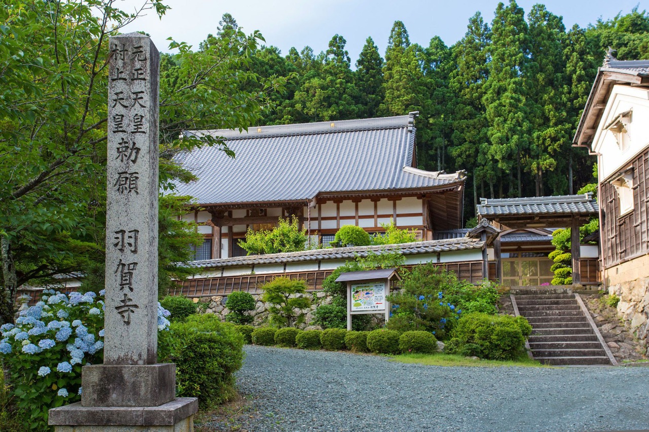 羽賀寺|おすすめの観光スポット|【公式】福井県 観光/旅行サイト | ふくいドットコム