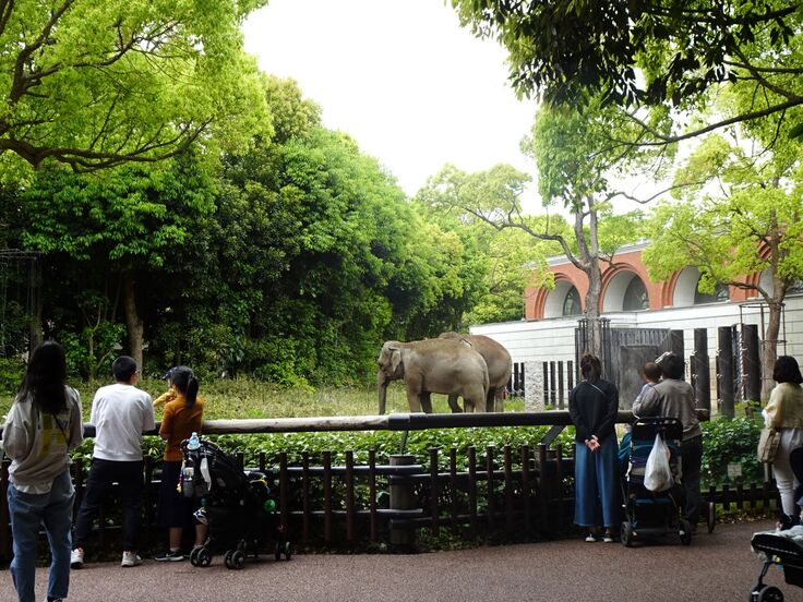 GW始まりました ズーラシア｜動物が幸せに過ごせるように。オットセイに快適な環境を！（よこはま動物園ズーラシア 2023/05/02 投稿） -  クラウドファンディング READYFOR