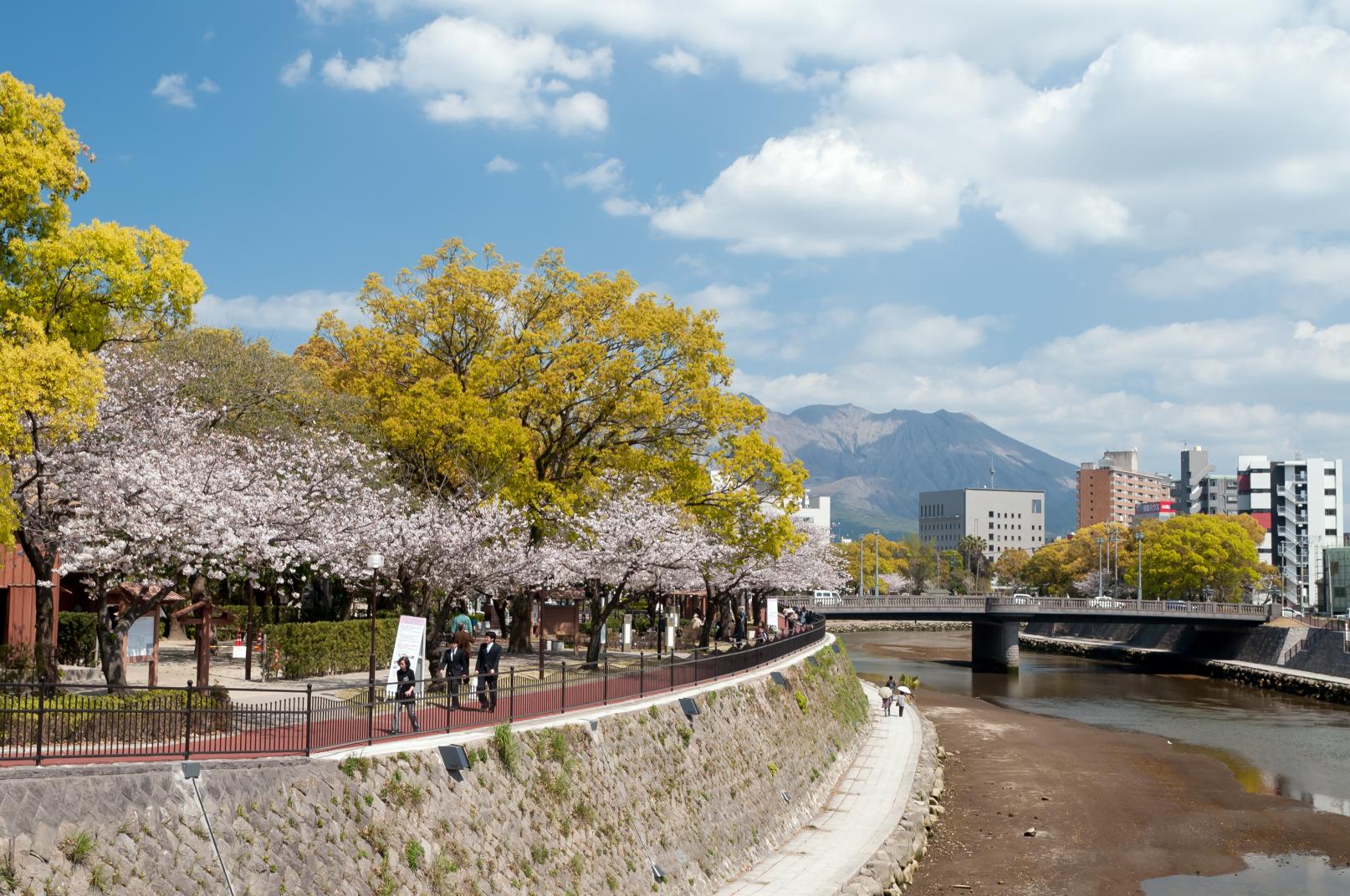 甲突川河畔 | 観光スポット | 【公式】鹿児島市の観光・旅行情報サイト｜かごしま市観光ナビ