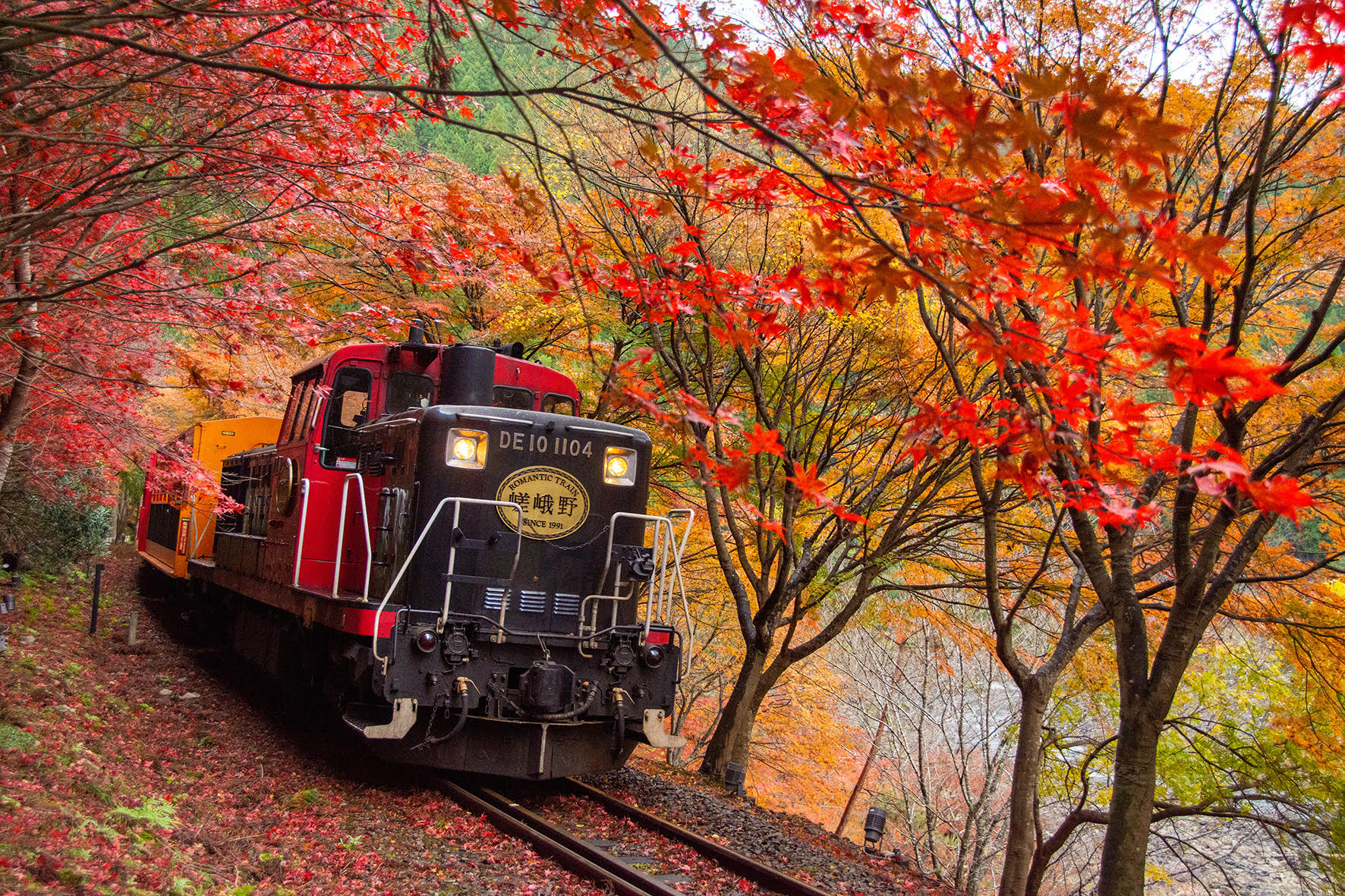 嵯峨野トロッコ列車 乗車券 | トロッコ列車・嵯峨野観光鉄道 - オンライン予約・購入サイト｜LINKTIVITY Activity Reservation System