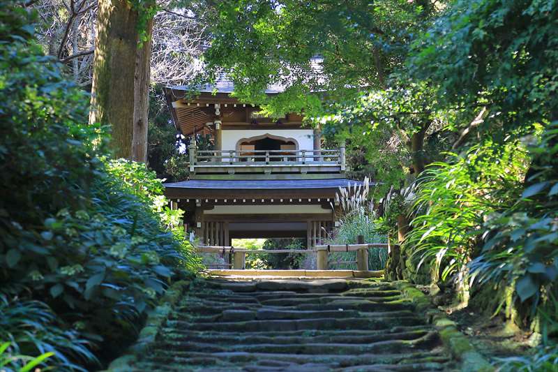 初秋9月の浄智寺へ参拝にいってきた | 鎌倉の寺院と札所巡り by鎌倉PRESS