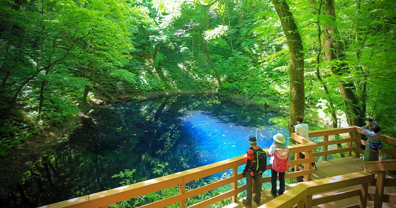 青森観光 おすすめモデルコース 1泊2日 | アクティビティジャパン