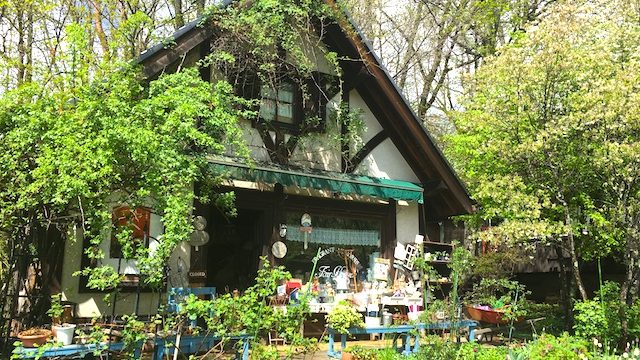 清里のおすすめ観光スポット、フォトジェニックな「萌木の村」現地ルポ | TABIZINE~人生に旅心を~