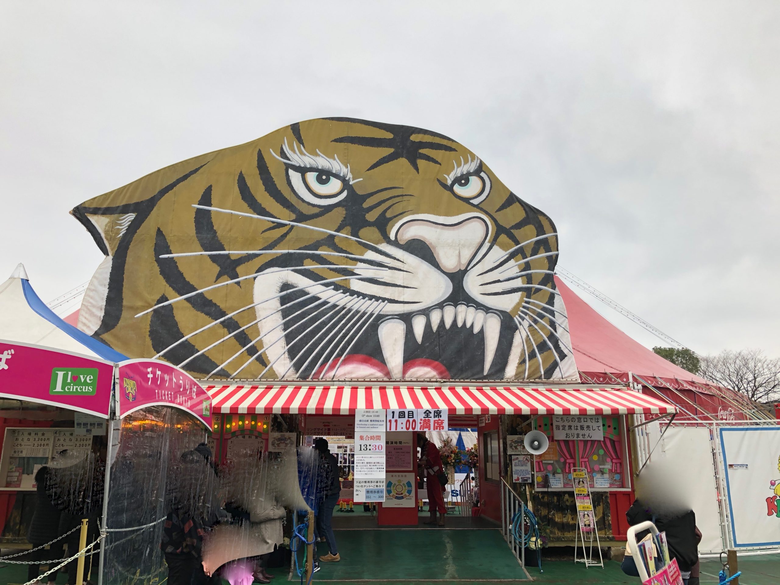 おすすめ!福岡公演・木下大サーカスの感想、見やすい座席や混雑は?自由席何分前から並ぶ? | HOP CONSULTING