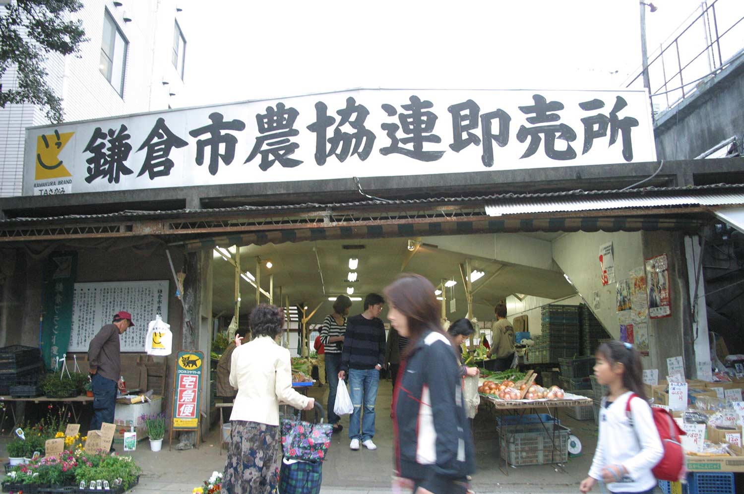 レンバイ（鎌倉市農協連即売所）の鎌倉野菜！ | 鎌倉コソガイレポート