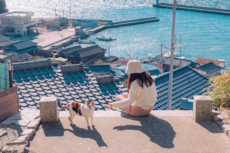 今話題の絶景とアートと猫の島「男木島」でのんびり島旅! | りとふる