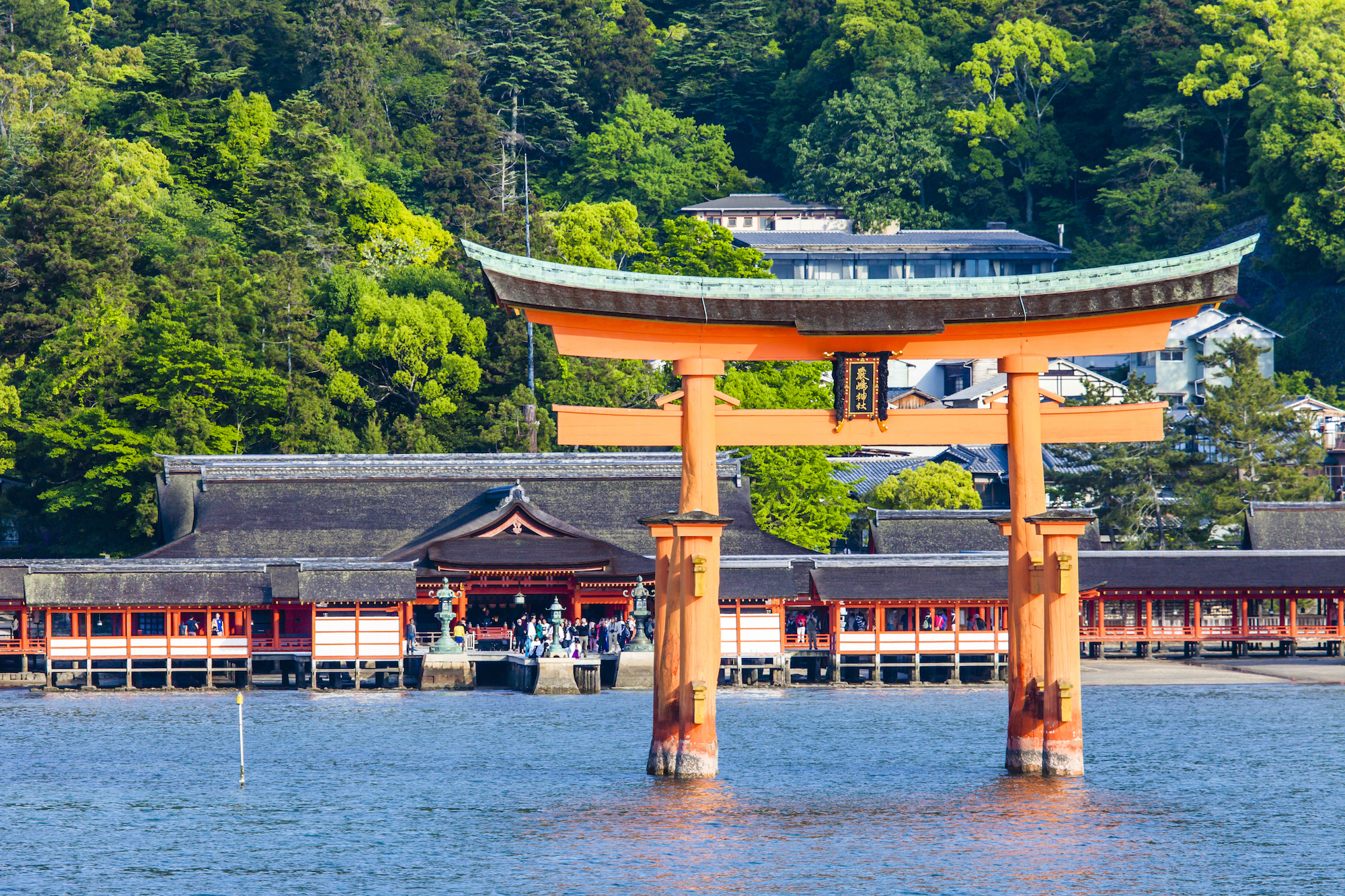 厳島神社観光ガイド: 宮島の魅力と楽しみ方