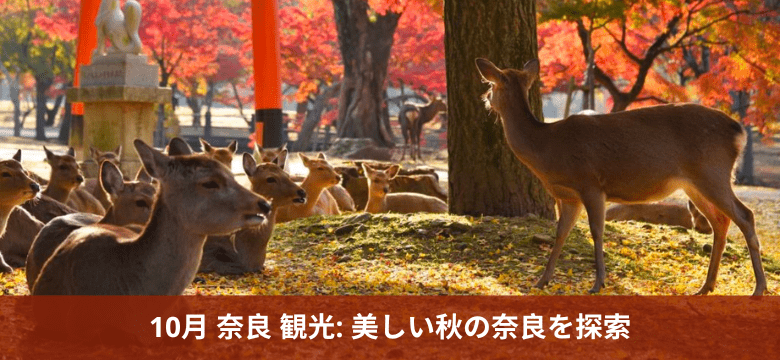 10月 奈良 観光