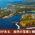 伊豆大島 何がある：自然の宝庫と観光スポット