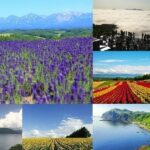北海道 何する 夏: 美しい自然と楽しいアクティビティを堪能する旅行の提案