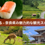 奈良 何がある - 奈良県の魅力的な観光スポットと文化