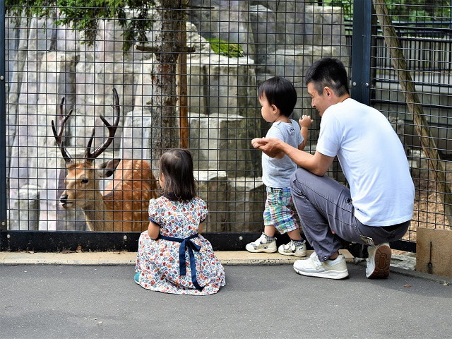 旭山動物園 どれくらいで回れる
