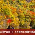 北海道は何が日本一？その魅力と特徴を徹底解説！