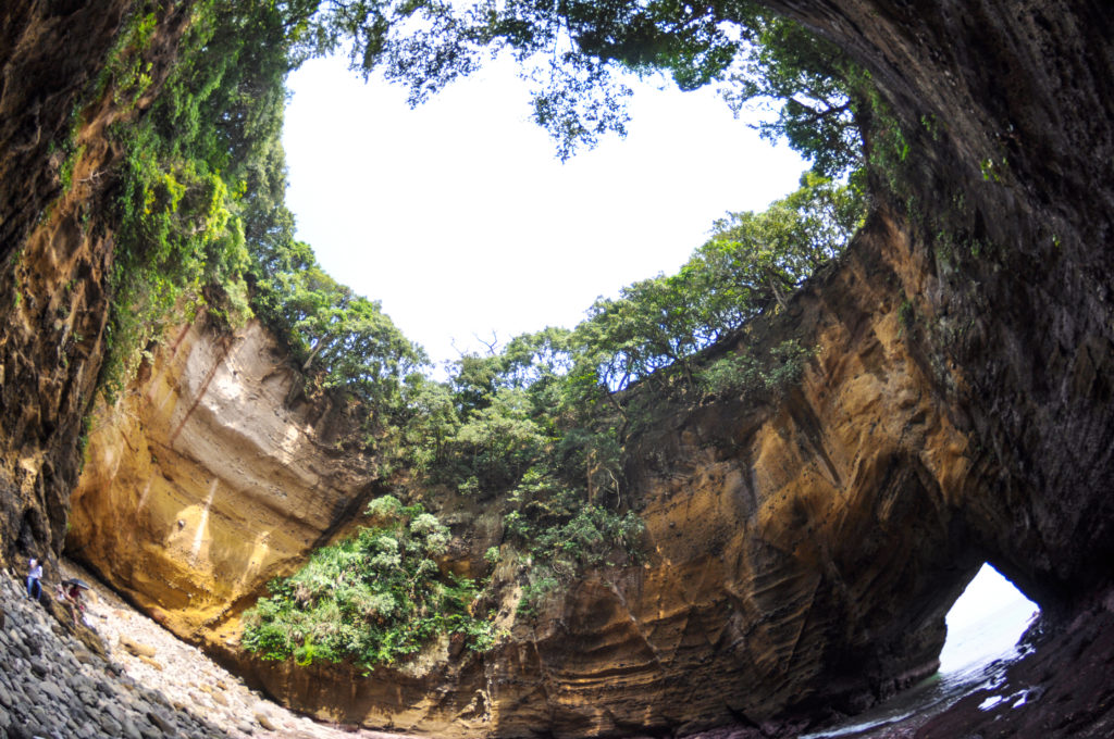 龍宮窟 | 南から来た火山の贈りもの 伊豆半島ジオパーク