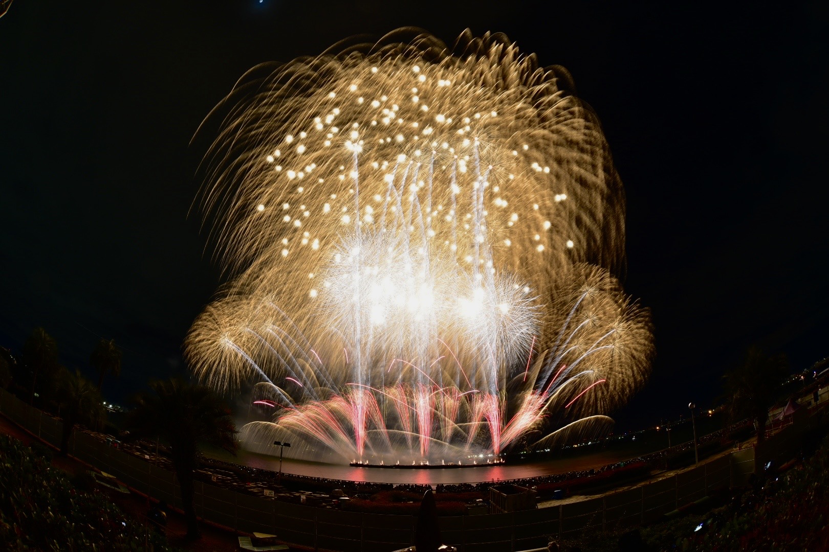 新着情報 | 「ISOGAI花火劇場in名古屋港」クリスマス花火大会